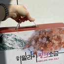 대양쏠트 네이버블로그