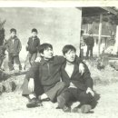 김인수