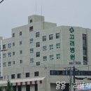 고려병원 앞 | 진주 건강검진 : [고려병원] 상세후기 (ft. 피멍)