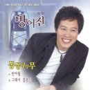방어진 이미지