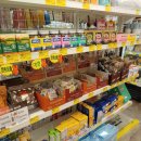 신정애견 이미지