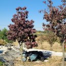 이쁜농장 이미지