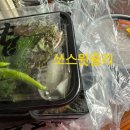 푸줏간고기도시락다대포점