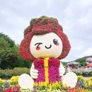 오월의 여왕 | [울산 여행] 오월의 여왕 울산대공원 장미축제 생생 후기