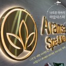 개네엄마 | 베트남 여행 마지막날! 마지막 마사지는 아람사스파 _ 곱창쌀국수 라냐 _ 나트랑에서 제주로 ...
