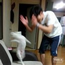 다시면사무소 | [탄성코트] 경기 광주 더샵오포센트리체 59타입 시공후기, 전국 최저가, 상세 시공전후 사진까지 모두 확인