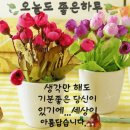 💐진실한 마음을 주는 사람💐 이미지