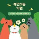 반려견을 사랑한다면? 자견 케어부터 1인 창업까지 스케줄 업무가 가능한 애견미용배워보기 이바우펫애견미용학원 이미지