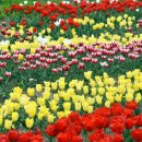 장평해안길 이미지