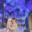 비고리조트 7 | 인스파이어 리조트 호텔 내돈내산 후기