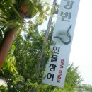 강변장어 이미지