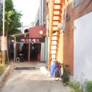 올포유구리