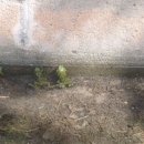 주안민박 이미지