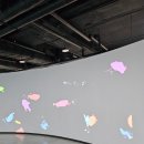 그림자 체험놀이 이미지