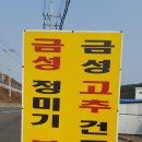 금성실업