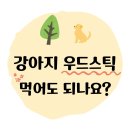 JI농장 | 강아지 우드스틱 먹어도 안전할까? 100% 천연성분 안전한 강아지 장난감 베러본