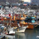 당근수산 머니투데이