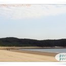 이일레민박 이미지