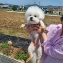 카페 어스 이미지