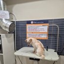 올리스24 두류공원점 이미지