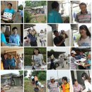 (주)화성약품 이미지