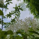 교리여주쌀밥 | 여주한정식맛집 교리여주쌀밥집 다녀온 후기