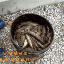 학성바다펜션 이미지