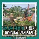 나무와사람들 | 감나무 제거 빌라 나무 제거 후기