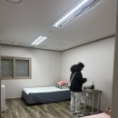 수진사 | 남양주 수진사 휴식형 템플스테이 후기🍀