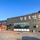 청솔흑염소