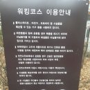 동작역/헤밍웨이길/몽마르뜨공원/서리풀공원/청권사/방배동 걷기를 다녀와서! 이미지