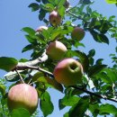 안동추어탕 이미지