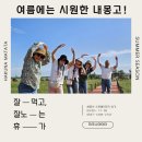 내년 여름에는 #내몽고 어떠세요? ^^ 내몽고 여행 후기 #삼천리자전거반곡점 #헤어갤러리