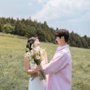 일주서로731번길 | 임신9주차에 제주에서 셀프웨딩스냅 촬영후기