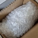 하루히 | 후류 스즈미야 하루히의 우울 Bicute 바니 스즈미야 하루히 FURYU 비큐트 바니걸 피규어