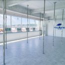 라인댄스 (입문) 이미지