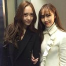 크리스탈 이미지