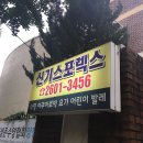신기스포렉스 이미지