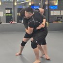 크로스핏 알파 이미지