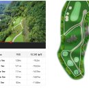 티그린 골프존 이미지