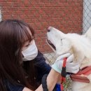 동물사랑연합회 이미지