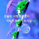 **💟💟생활정보 긴급 전화 번호 안내** 이미지