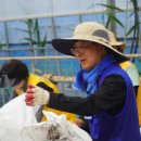 전충농장 이미지