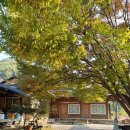 둘레길황토방민박 이미지