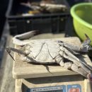 화수로47번길 23 이미지