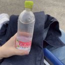 도쿄여행(14) | 4일차 #2- 스카이라이너(우에노에서...복숭아물) 판매처(정보), 나리타공항(수화물위탁...