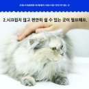 포레스트동물병원 이미지