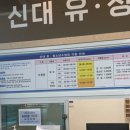 신대119옆 이미지
