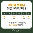 코지안 이미지