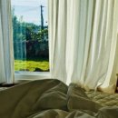 스테이 마중 이미지